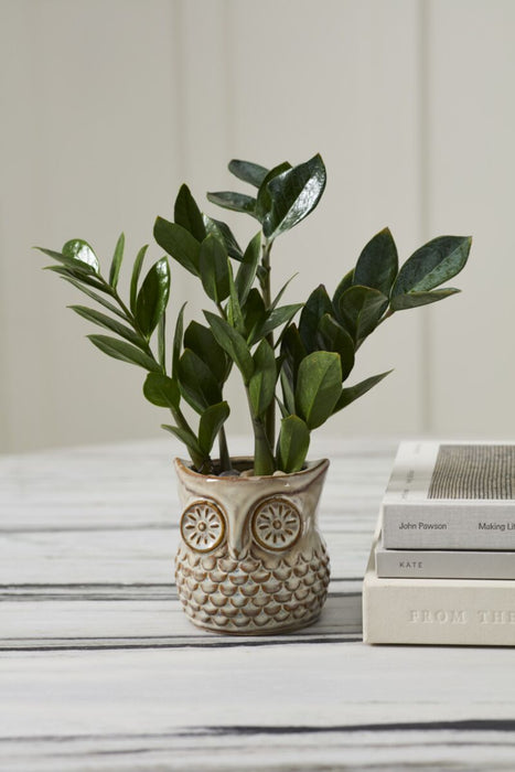 Great Grey Owl Pot