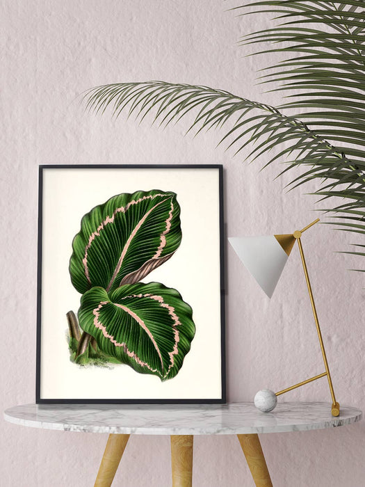 Botanical Leaf - 11 x 14