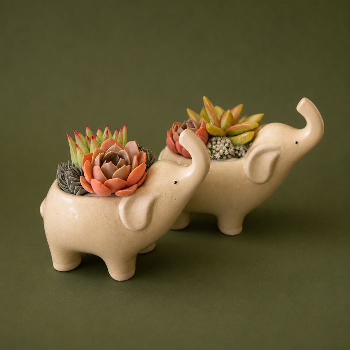 Elephant Planter | Sand