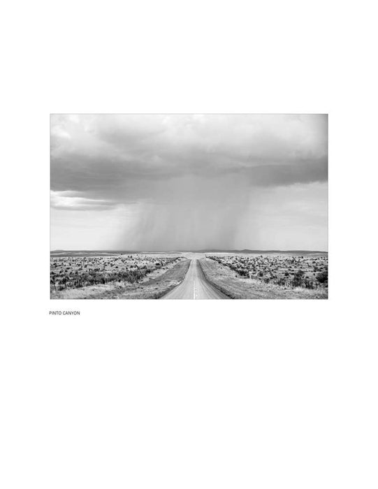 The American Cowboy by Anouk Masson Krantz