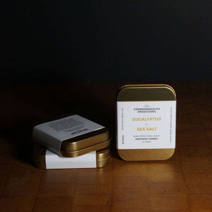 Eucalyptus + Sea Salt Incense Cones, Tin of 30