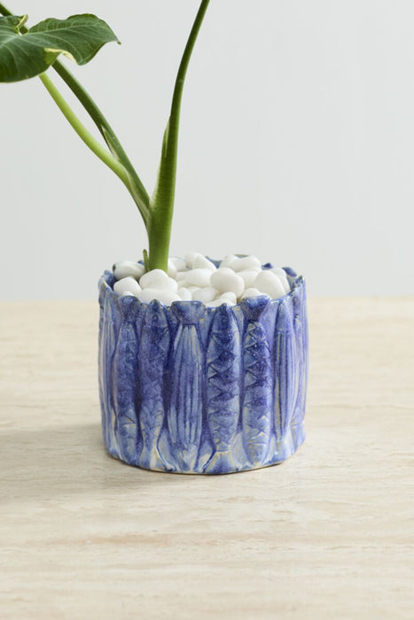 Sardine Planter