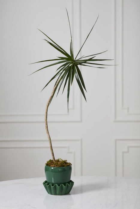 Lorelai Planter with Saucer