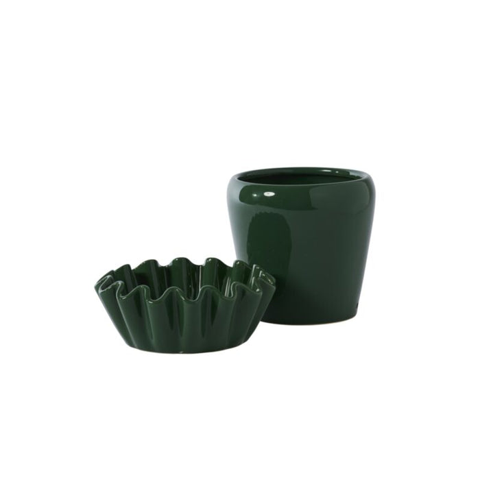 Lorelai Planter with Saucer