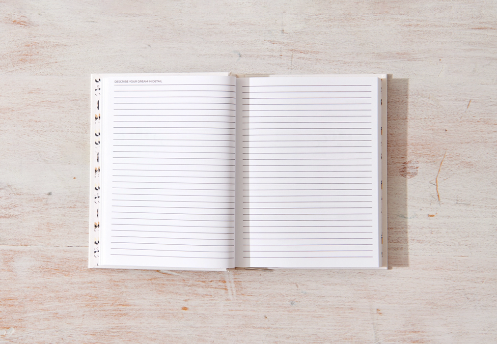 Thought Catalog - Dream Journal