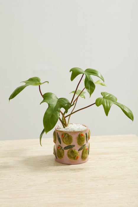 Ceramic Cucina Planter