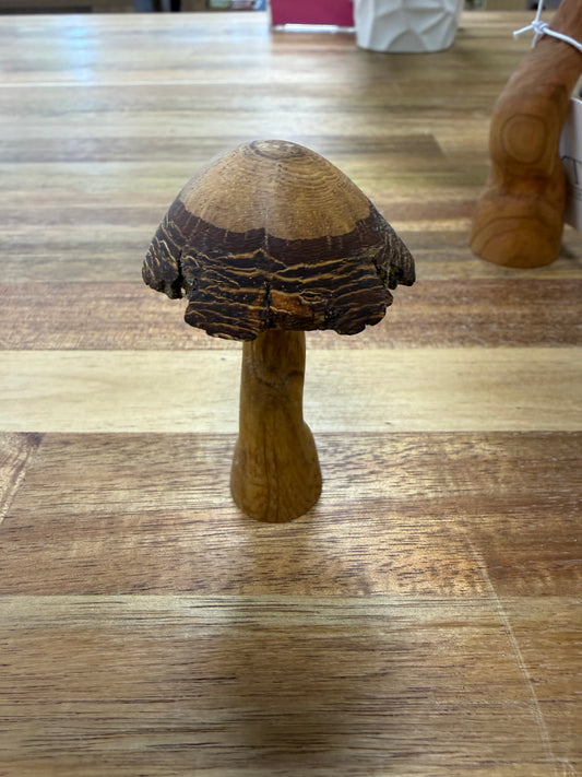 Oaknut Originals- Oak Shallow Dome