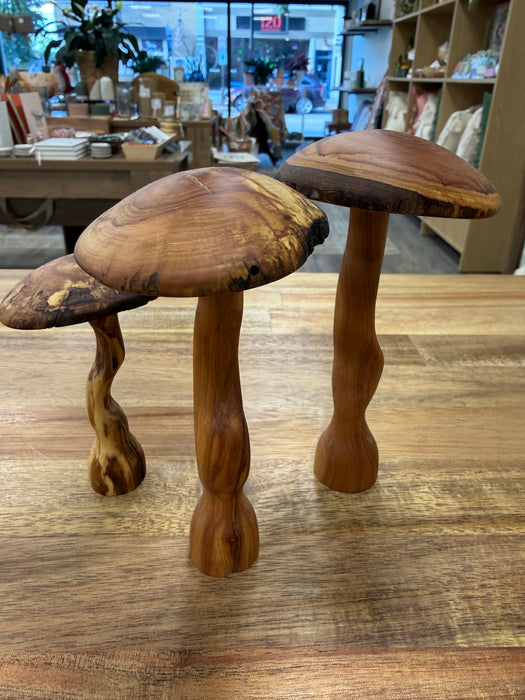 Oaknut Originals- Spalted Apple Mushroom