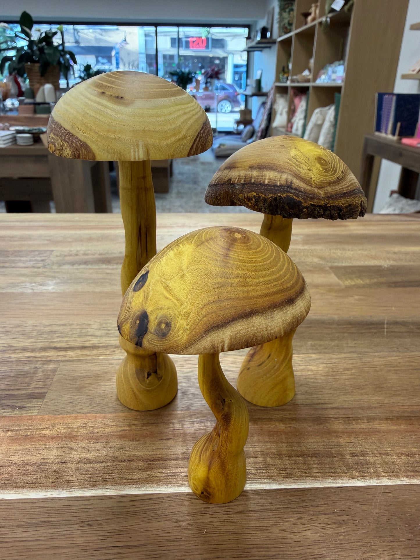 Oaknut Originals- Mulberry Mushroom