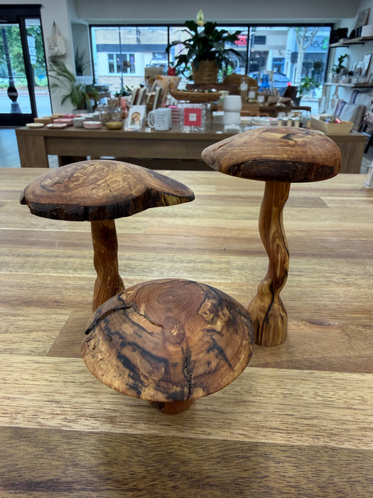 Oaknut Originals Spalted Apple Mushroom