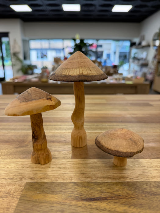 Oaknut Originals Beech Mushroom