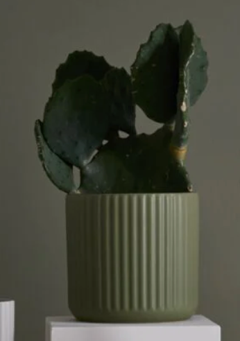 Sage Green ribbed Beam Pot- Large