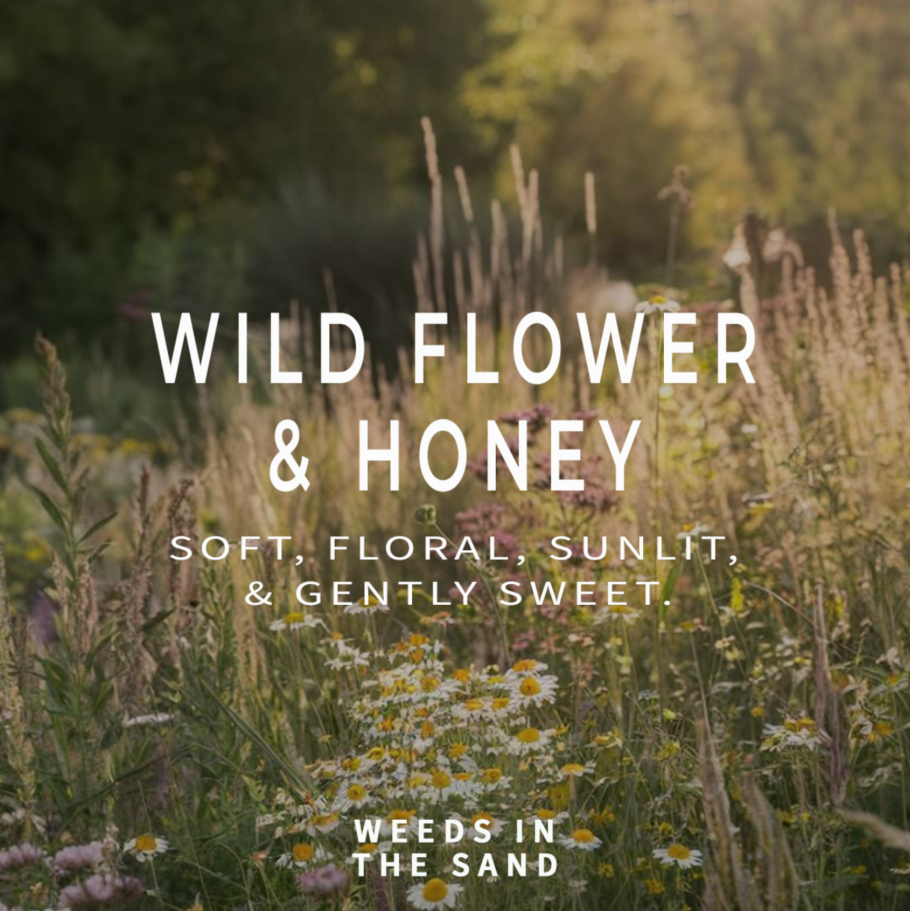 WILD FLOWER & HONEY CANDLE 3OZ