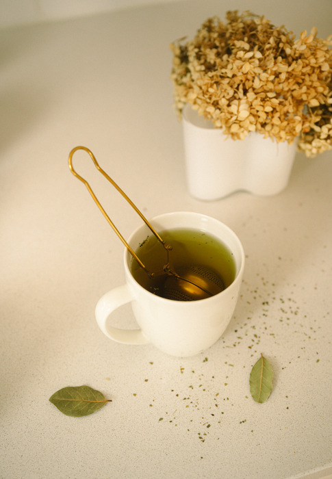 Stainless Steel Tea Strainer/Silver