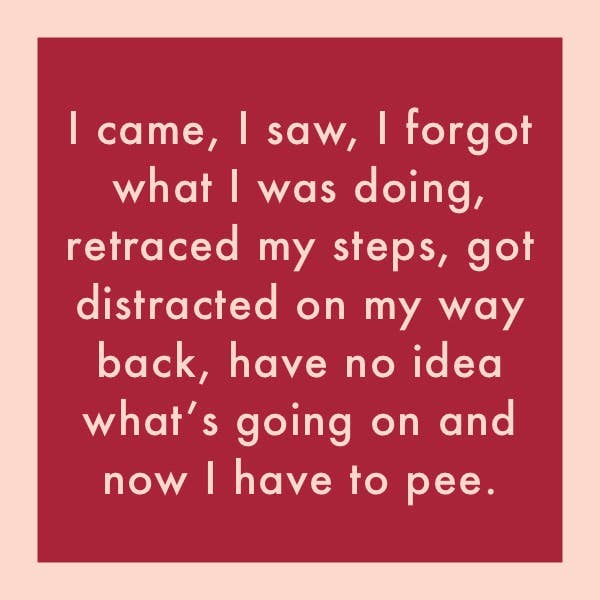 COASTER I Came, I Saw