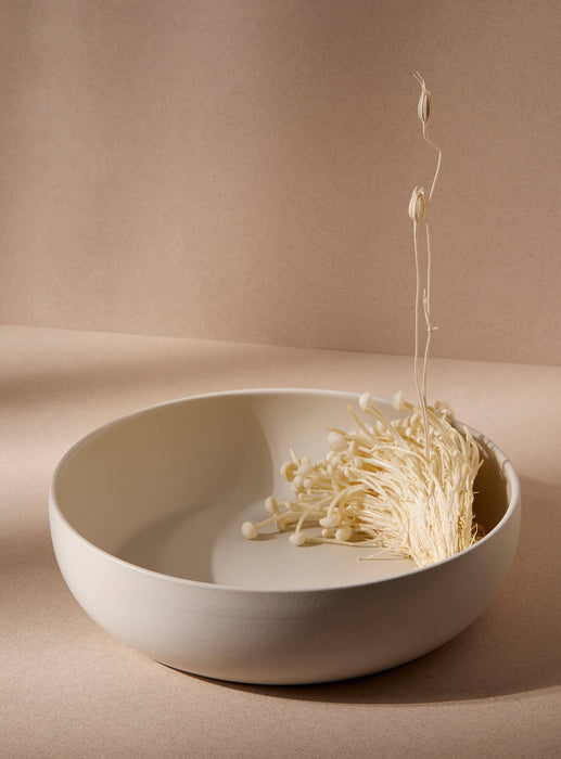 Stoneware Shallow Serving Bowl