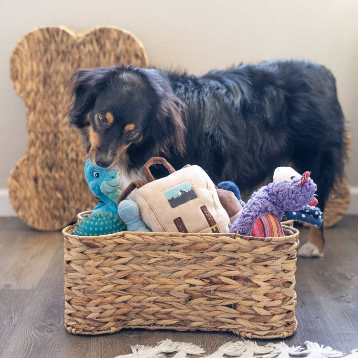 Loxley Pet Storage Basket- Brown/Small