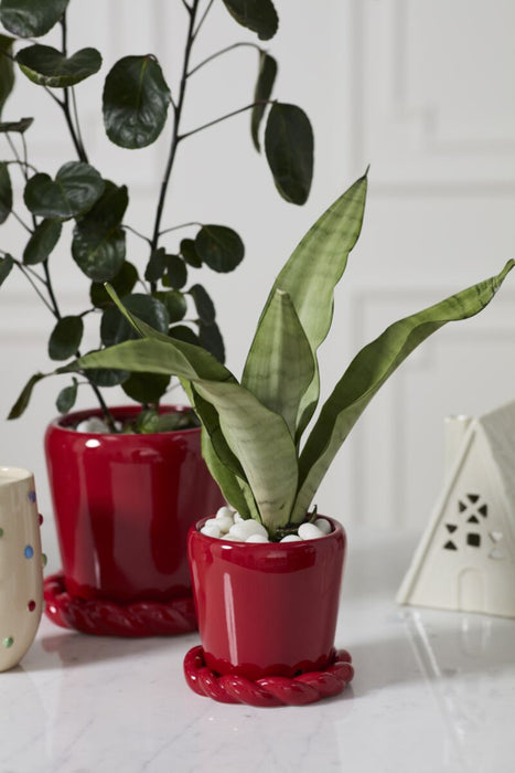 Cinnamon Twist Planter with Saucer 5.5"x5"