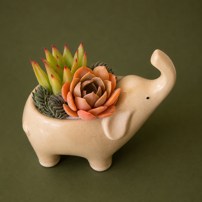 Elephant Planter | Sand