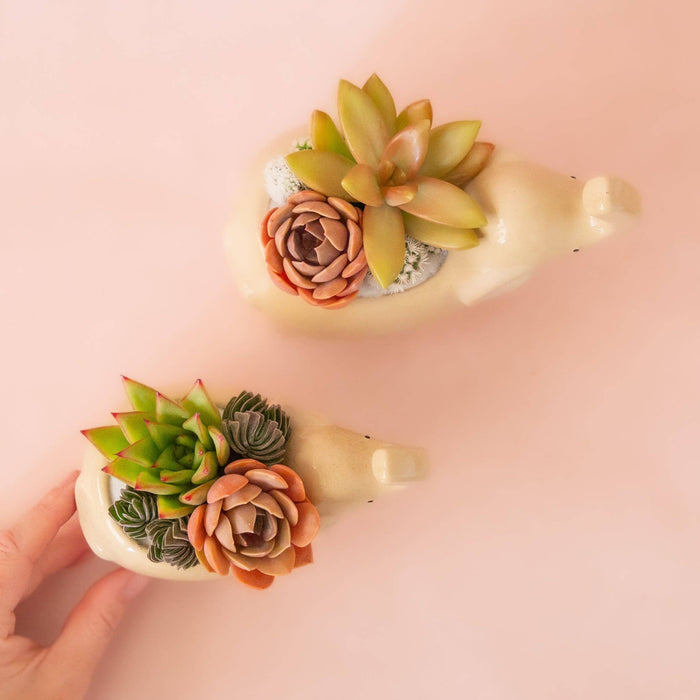 Elephant Planter | Sand