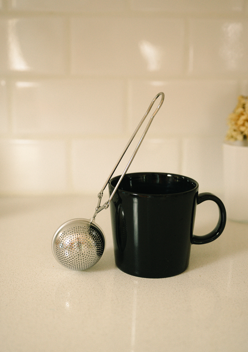 Stainless Steel Tea Strainer/Silver