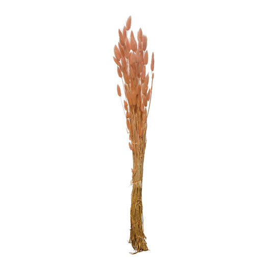 Dried Natural Pink Bunny Tail Bunch