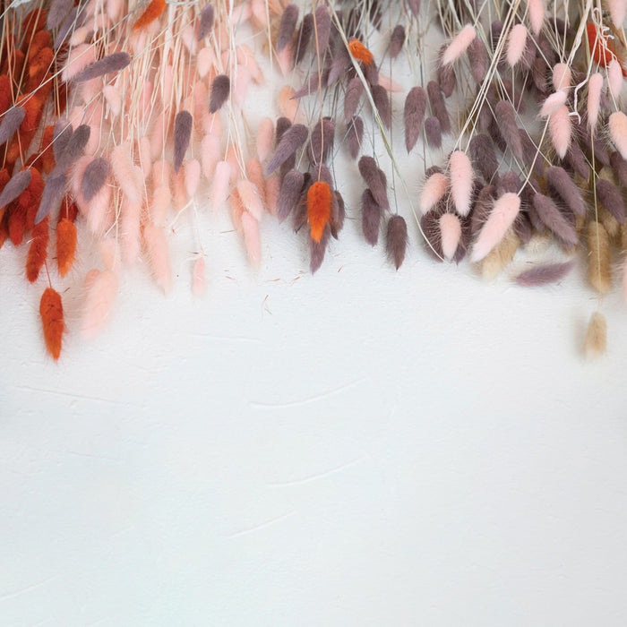 Dried Natural Pink Bunny Tail Bunch