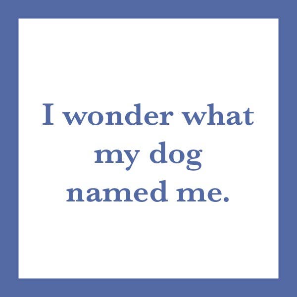 COASTER Dog Named Me