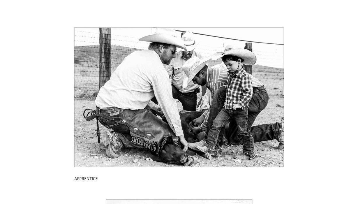 The American Cowboy by Anouk Masson Krantz