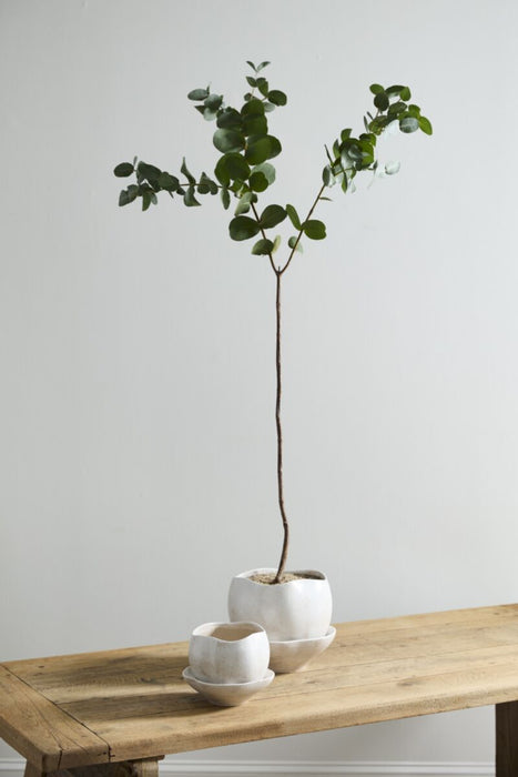 Iona Planter 9"