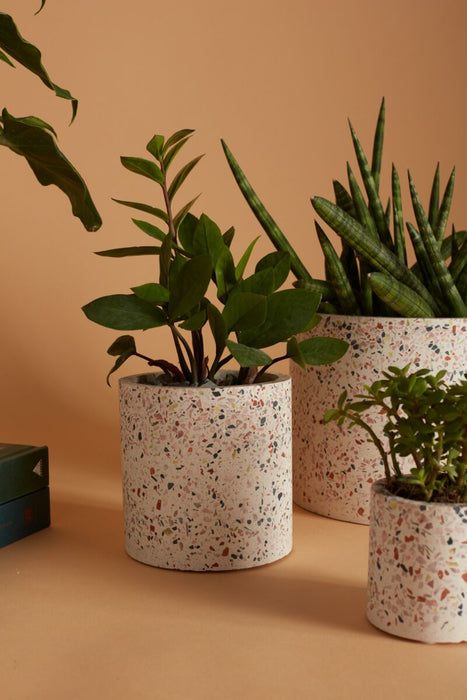 Terrazzo Planter 7.25"x 6"